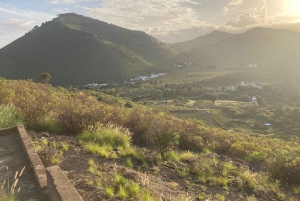 Guided Bike & E-Bike Tour through the Northern Gran Canaria
