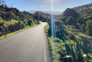 Guided Bike & E-Bike Tour through the Northern Gran Canaria