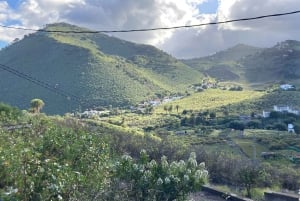 Guided Bike & E-Bike Tour through the Northern Gran Canaria