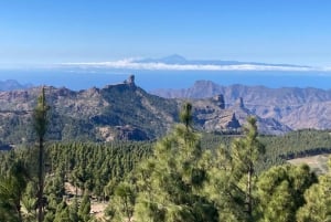 Guided Bike & E-Bike Tour through the Northern Gran Canaria