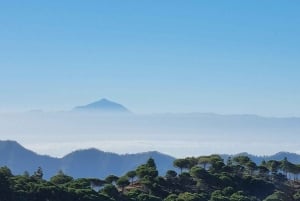 Guided Bike & E-Bike Tour through the Northern Gran Canaria