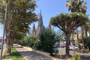 Guided Bike & E-Bike Tour through the Northern Gran Canaria