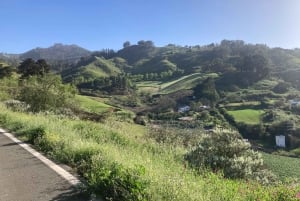 Guided Bike & E-Bike Tour through the Northern Gran Canaria