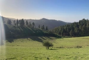 Guided Bike & E-Bike Tour through the Northern Gran Canaria