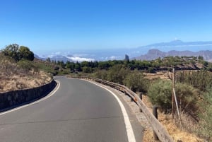 Guided Bike & E-Bike Tour through the Northern Gran Canaria