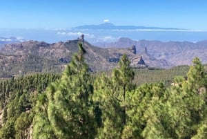 Guided Bike & E-Bike Tour through the Northern Gran Canaria
