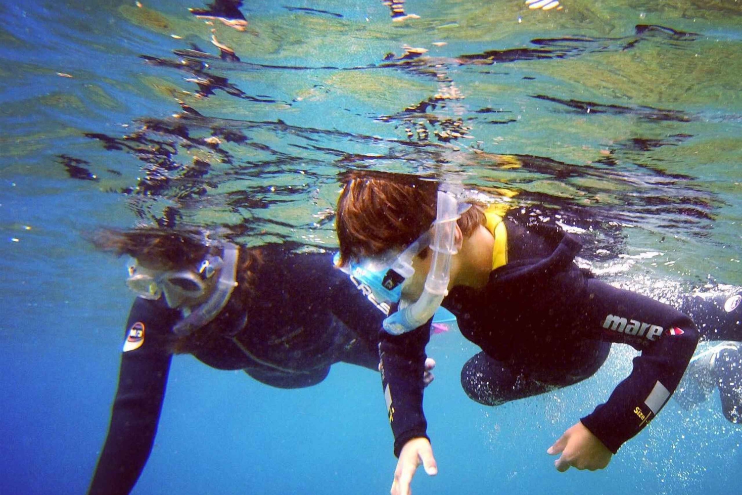 Guided Snorkelling experience in south of Gran Canaria