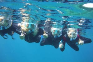 Experiencia guiada de snorkel en el sur de Gran Canaria