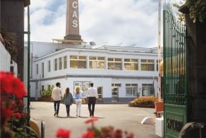 Guided Tour at Ron Arehucas Distillery