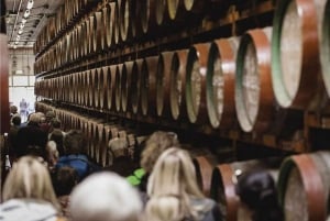 Guided Tour at Ron Arehucas Distillery