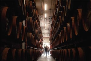 Guided Tour at Ron Arehucas Distillery