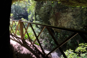 La Palma: Excursión en Autobús por la Isla Norte con la Destilería Ron Aldea