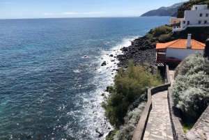 La Palma: Excursión en Autobús por la Isla Norte con la Destilería Ron Aldea