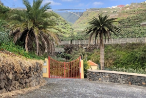 La Palma: Excursión en Autobús por la Isla Norte con la Destilería Ron Aldea