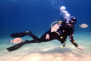 Lanzarote: Buceo para principiantes en Costa Teguise (2 inmersiones)