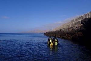 Lanzarote: Buceo para principiantes en Costa Teguise (2 inmersiones)