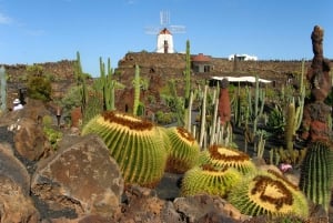 Lanzarote Coast-2-Coast Tour