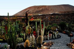 Lanzarote Coast-2-Coast Tour