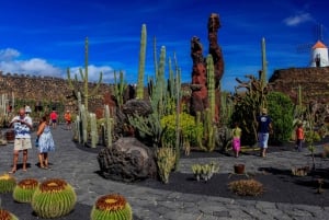 Lanzarote Coast-2-Coast Tour