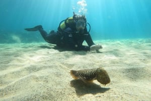 Lanzarote: Buceo para Principiantes - 1 Inmersión