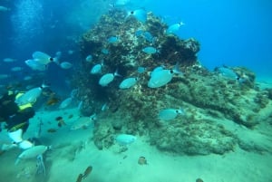 Lanzarote: Buceo para Principiantes - 1 Inmersión