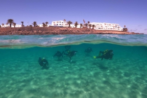 Lanzarote: Buceo para Principiantes - 1 Inmersión