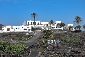 Lanzarote: Vineyard Tour with Wine and Chocolate Tasting