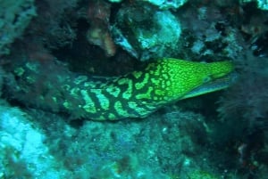 Buceo en Las Canteras