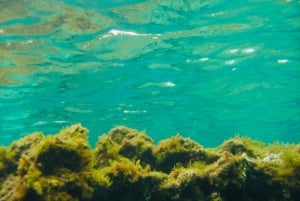 Buceo en Las Canteras