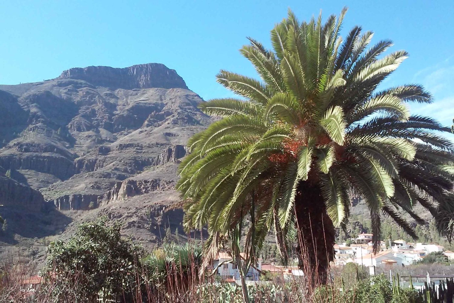 Las Palmas: 8-Hour Gran Canaria Island Highlights Tour