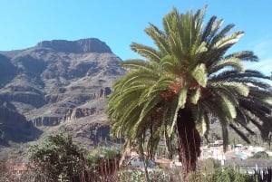 Las Palmas: 8-Hour Gran Canaria Island Highlights Tour