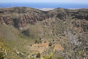 Las Palmas: Excursión de 8 horas por lo más destacado de la isla de Gran Canaria