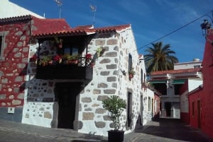 Las Palmas: Excursión de 8 horas por lo más destacado de la isla de Gran Canaria