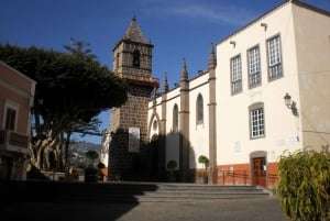 Las Palmas: Excursión de 8 horas por lo más destacado de la isla de Gran Canaria