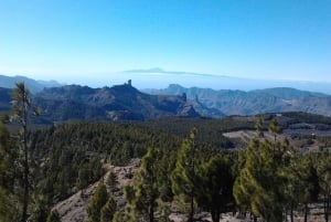 Las Palmas: Excursión de 8 horas por lo más destacado de la isla de Gran Canaria