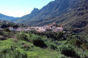 Las Palmas: Excursión de 8 horas por lo más destacado de la isla de Gran Canaria