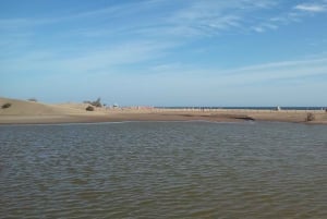 Las Palmas: Excursión de 8 horas por lo más destacado de la isla de Gran Canaria
