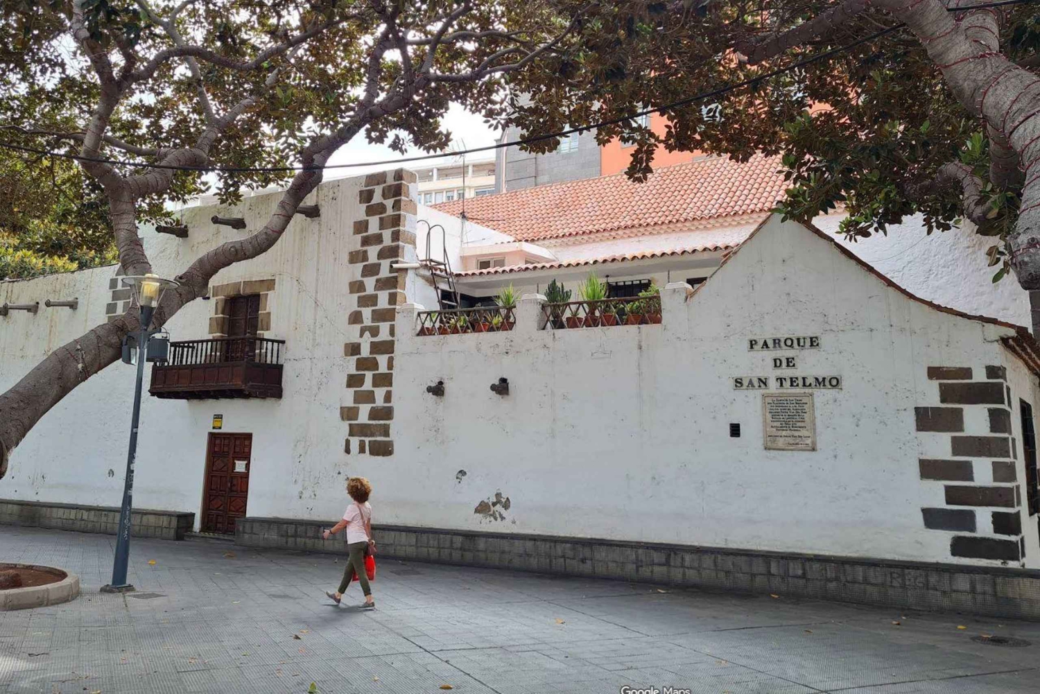 Las Palmas: Botanic Garden Tour (Extension Bandama opt)