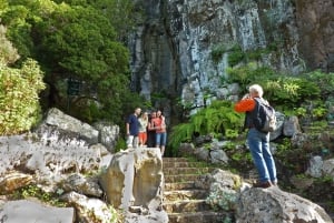 Las Palmas: Botanic Garden Tour (Extension Bandama opt)