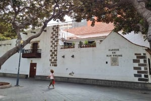 Las Palmas: Botanic Garden Tour (Extension Bandama opt)