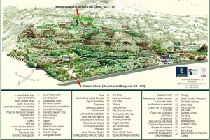 Las Palmas: Botanic Garden Tour (Extension Bandama opt)