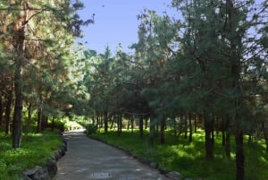 Las Palmas: Botanic Garden Tour (Extension Bandama opt)