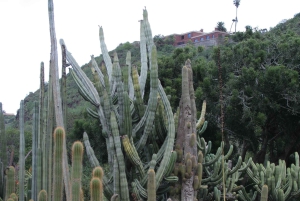 Las Palmas: Botanic Garden Tour (Extension Bandama opt)