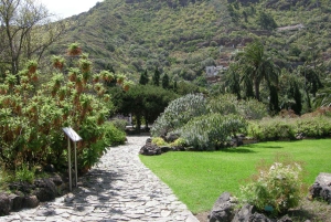 Las Palmas: Botanic Garden Tour (Extension Bandama opt)