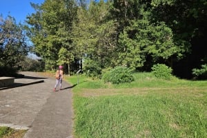 Las Palmas: Botanic Garden Tour (Extension Bandama opt)