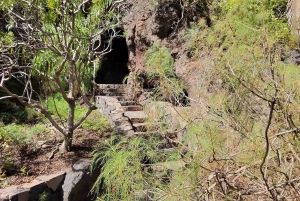 Las Palmas: Botanic Garden Tour (Extension Bandama opt)