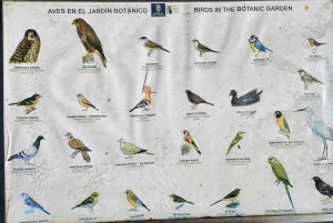 Las Palmas: Botanic Garden Tour (Extension Bandama opt)