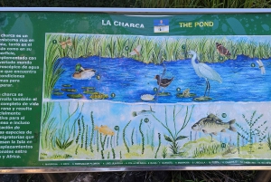 Las Palmas: Botanic Garden Tour (Extension Bandama opt)