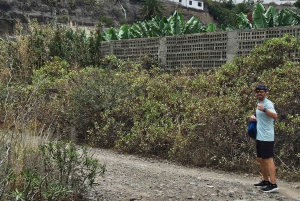 Las Palmas: Botanic Garden Tour (Extension Bandama opt)