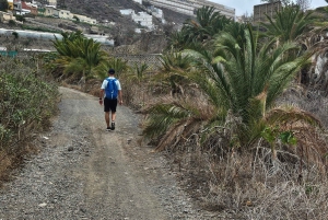 Las Palmas: Botanic Garden Tour (Extension Bandama opt)